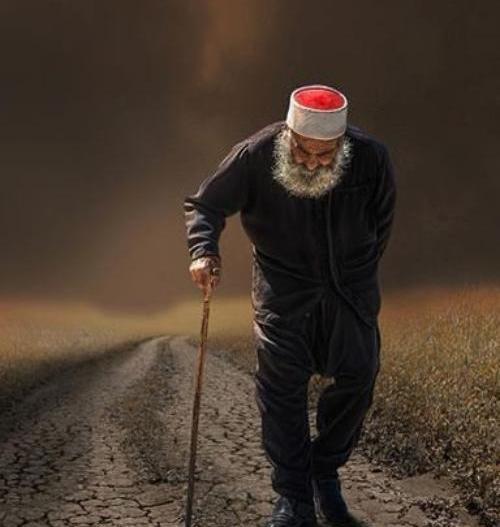 عکس پیری پدر