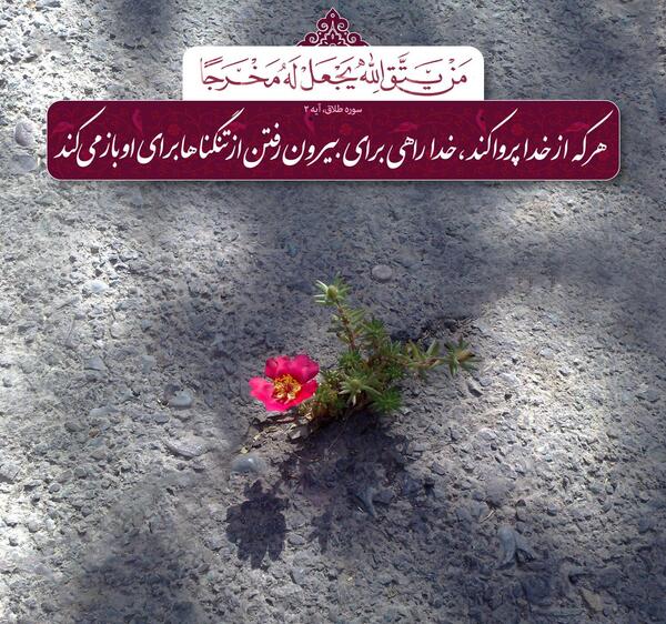 عکس استوری آیه