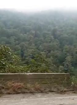 عکس استوری جاده