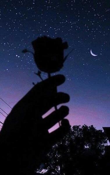 عکس استوری زیبا پسرانه