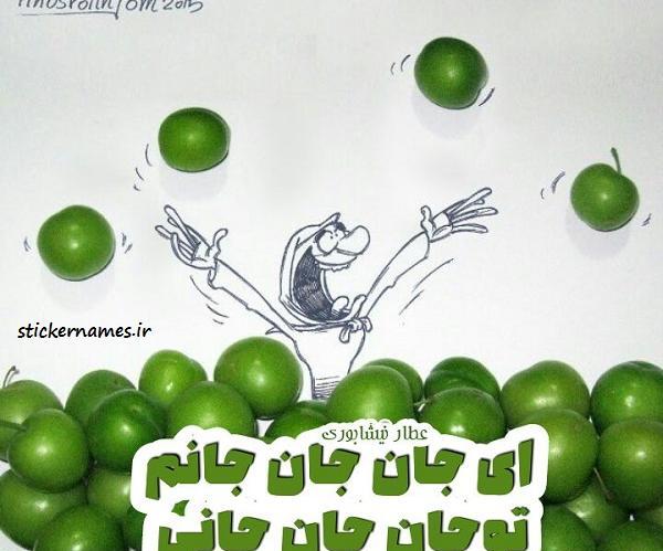 عکس استوری گوجه سبز