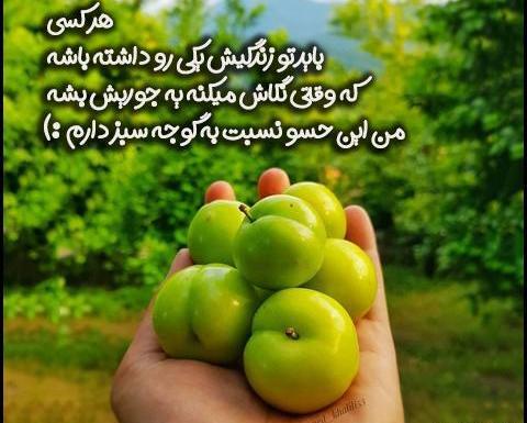 عکس استوری گوجه سبز