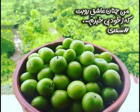 عکس استوری گوجه سبز