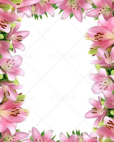 عکس صفحه خالی با حاشیه گل