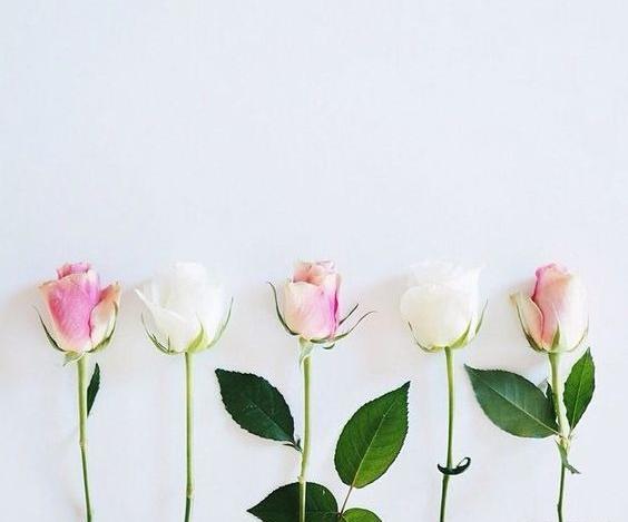 عکس صفحه سفید گلدار