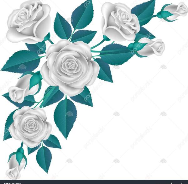 عکس صفحه سفید گلدار