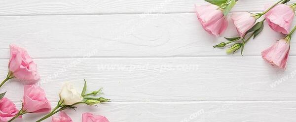 عکس صفحه خالی زیبا برای نوشتن متن