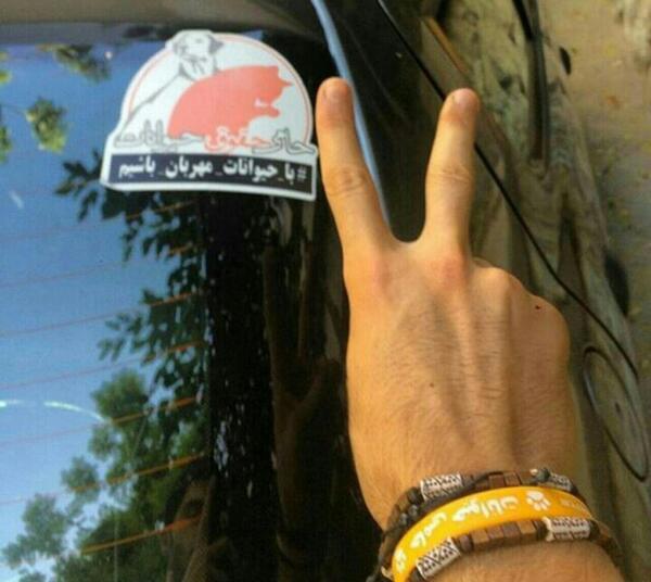 عکس استیکر جالب برای ماشین