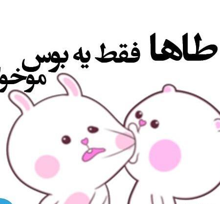 عکس استیکر خرگوش