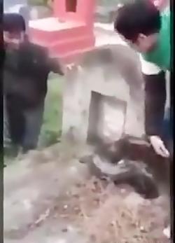 عکس قبر واقعی