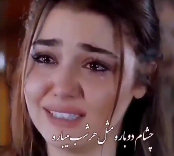 عکسهای گریه هانده ارچل