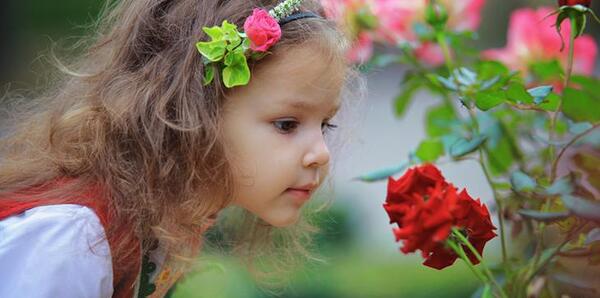 عکس دختر در حال چیدن گل