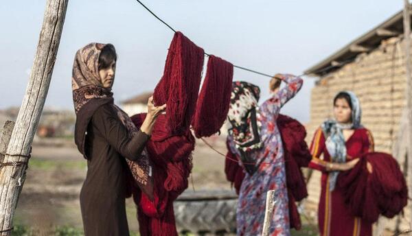 عکس دختر در حال قالی بافی