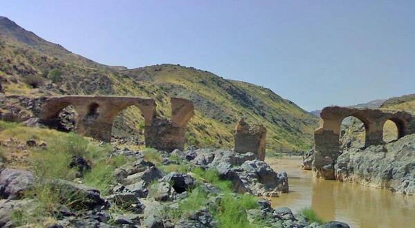 عکس کاغذکنان میانه