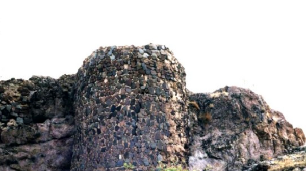 عکس کاغذکنان میانه