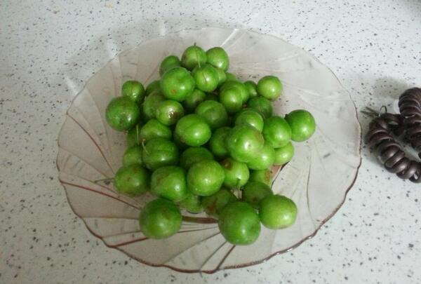 عکس فیک آلوچه