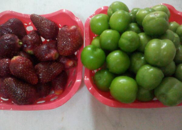 عکس فیک آلوچه