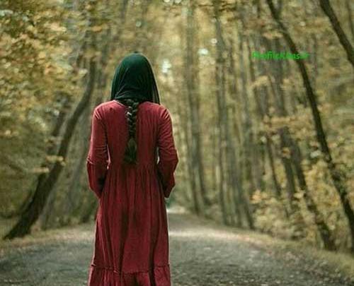 عکس فیک جنگل