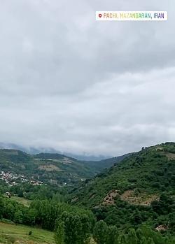 عکس فیک جنگل