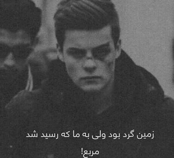 عکس فیک شاخ دخترونه بنفش
