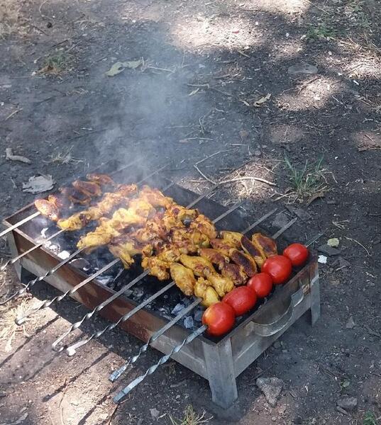 عکس فیک کباب