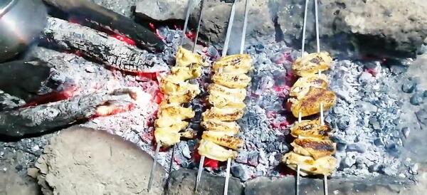 عکس فیک کباب