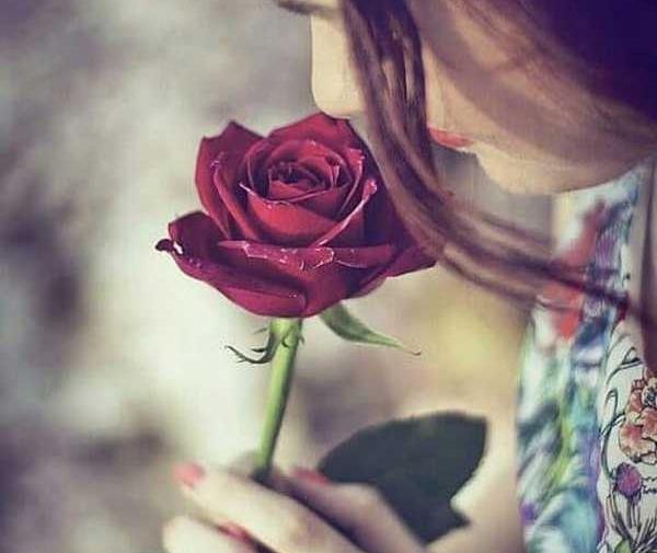 عکس فیک گل