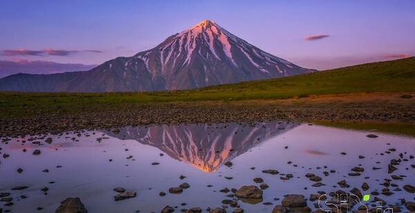 عکس محسن هادی