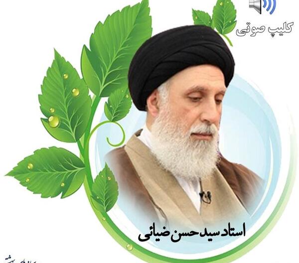 عکس دکتر سید حسن ضیایی