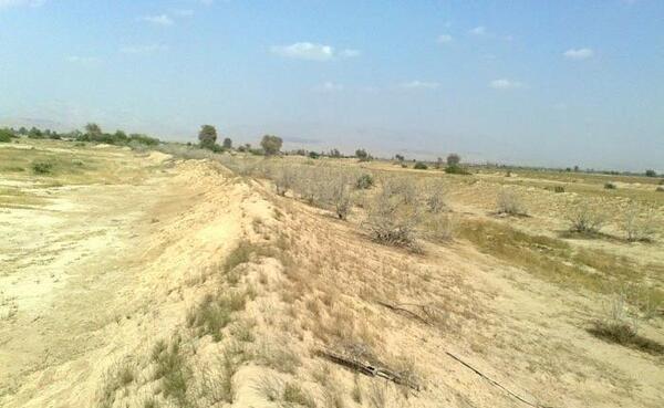 عکس حسن لنگی