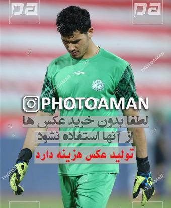 عکس حسین پورحمیدی
