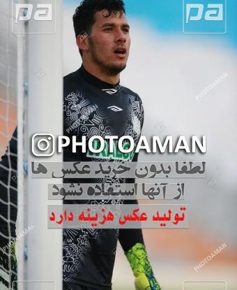 عکس حسین پورحمیدی