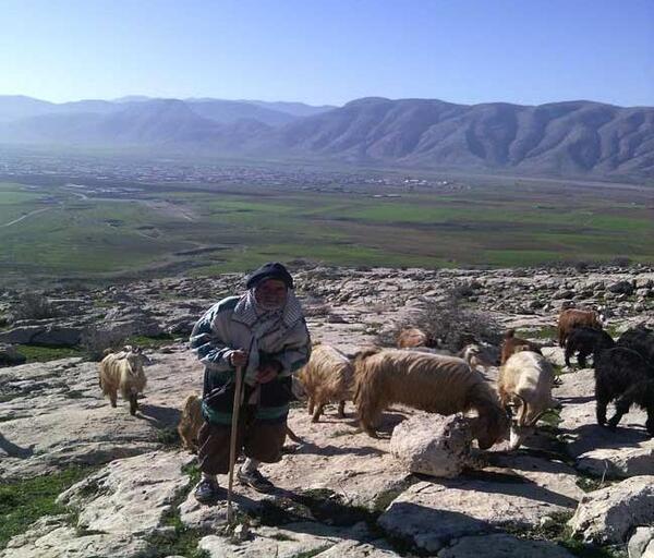 عکس محمد چوپانی