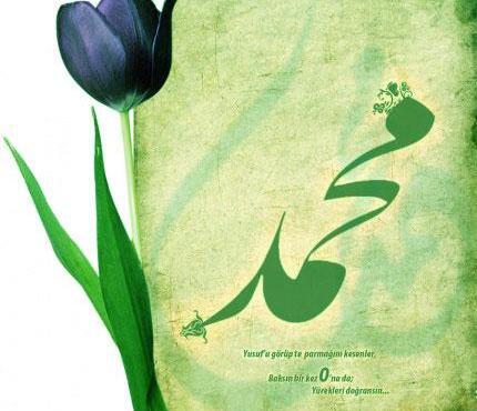 عکس محمد زیبا