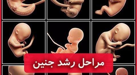 عکس بارداری چهار ماهگی