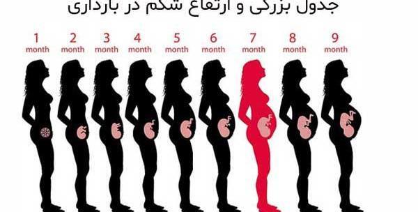 عکس بارداری ماه به ماه