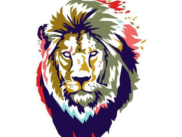 پرتره عکس شیر