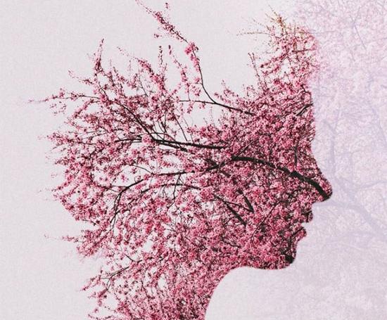 عکس های پرتره طبیعت
