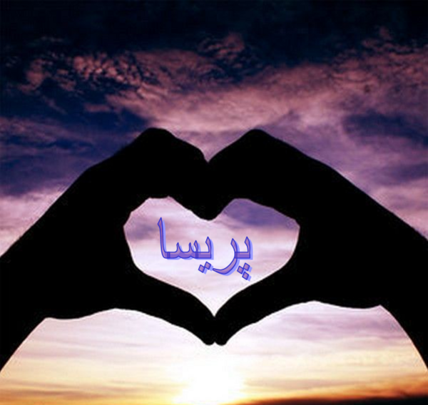 عکس نوشته پریسا عاشقتم
