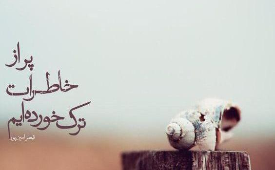 عکس نوشته اشعار مریم قهرمانلو