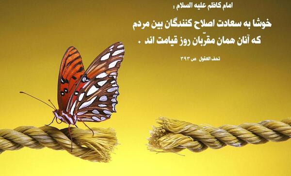 عکس نوشته پروانه غمگین