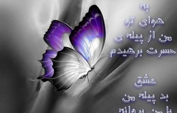 عکس نوشته پروانه غمگین