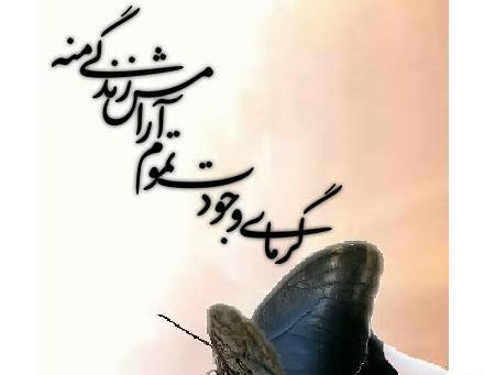 عکس نوشته پروانه غمگین