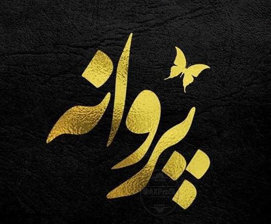 عکس نوشته های پروانه