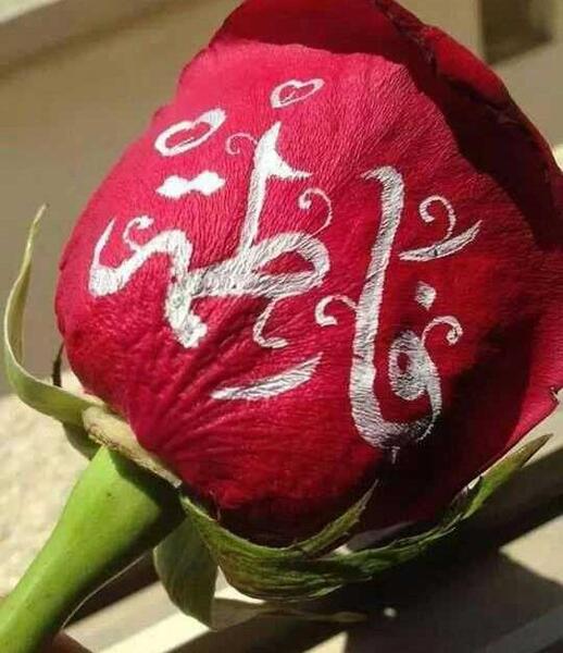 عکس نوشته فاطمه گلی