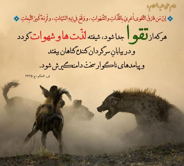 عکس نوشته سخنان امیرالمومنین