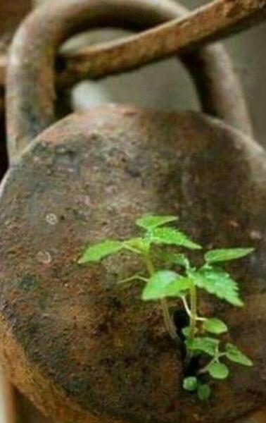 عکس نوشته روزنه امید