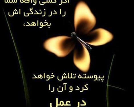 عکس نوشته امید نداشتن