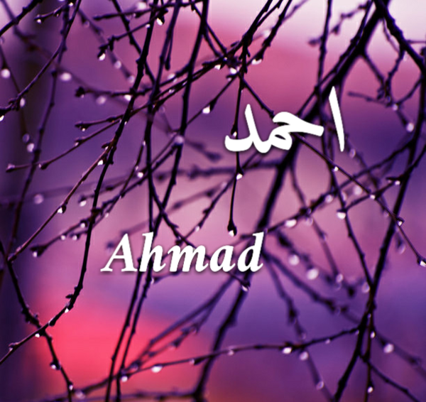 عکس نوشته اسم احمد و زهرا