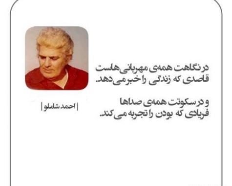 عکس نوشته جملات احمد شاملو